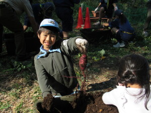 「お芋、見つけたよ」