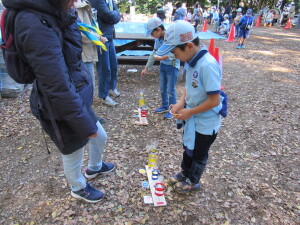 どんぐり落とし