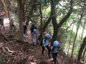 山道に入ったよ