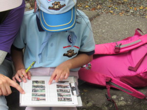 写真の順番を考え中！