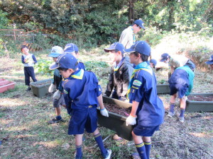 まずはプランターの移動から