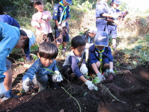 さぁ、お芋を見つけよう！