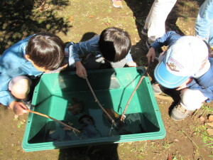ザリガニ釣り「今度は釣りだよ」