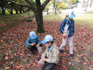 落ち葉を拾い集める様子