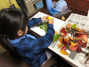 緑色の葉っぱが中心だね！