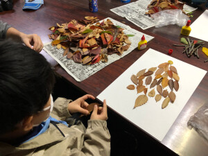 こっちは茶色だ！