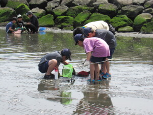 潮干狩りの様子２
