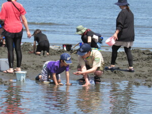 潮干狩りの様子４