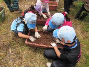 枝豆の種をまくＢＶＳ