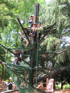 No.34 秋葉のクロマツ幹まわり