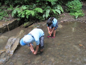 何をしているのかな？