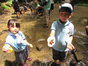 「私、アヒルさん」 「僕は石集め」