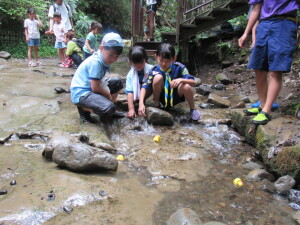 アヒルレース決勝戦！