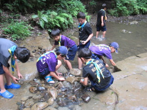 ダムを作るスカウトたち