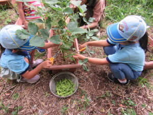 今度はハサミで。