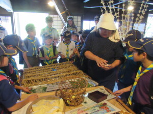 里山生活体験（蚕の観察）