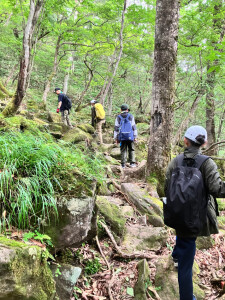 頂上にまっしぐら！