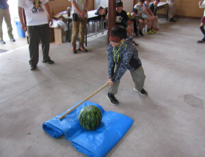 スイカ割りの様子