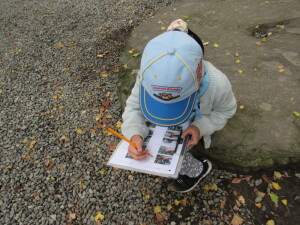 最初に見た風景の写真は？