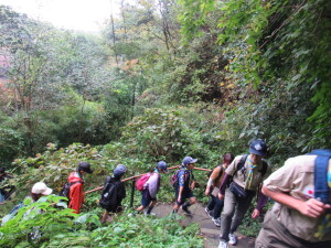 まずは上りの階段からスタート