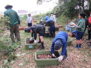 まずはプランターから