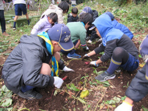 次の地畑はどうかな？