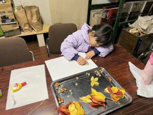 ドングリの傘を付けています