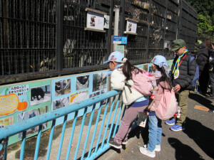 柵に乗り出して観察！