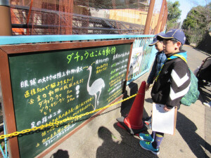 ダチョウの走る速度を調べている１組