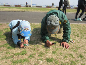 虫メガネを使って春さがし
