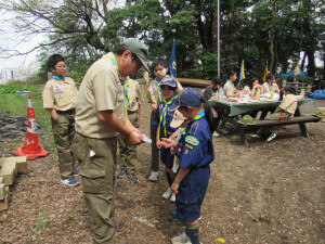 トランプを選んでいます