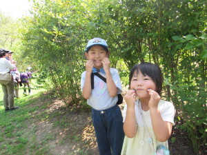 ブルーベリー狩り