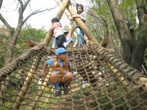 網の上で一休み